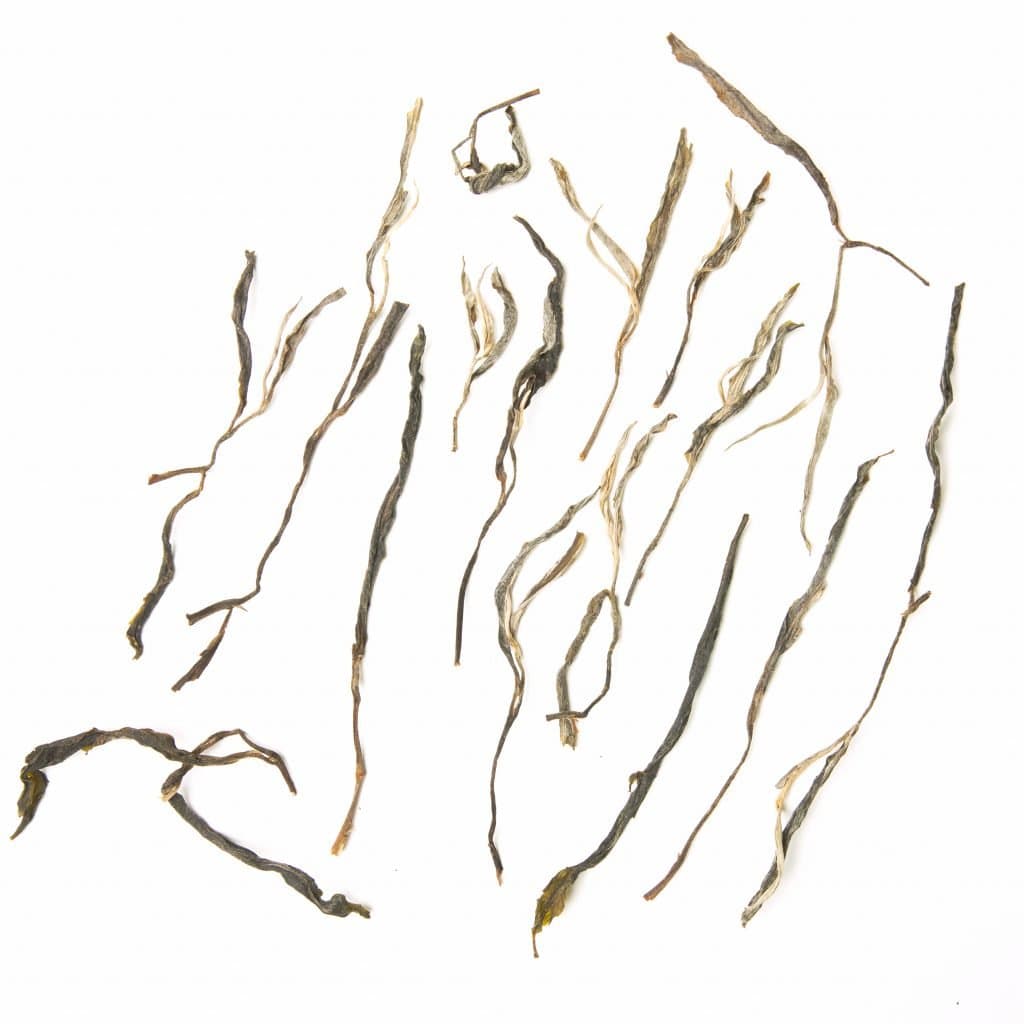 2021 Yiwu Manzhuan Raw Pu'er Máo Chá