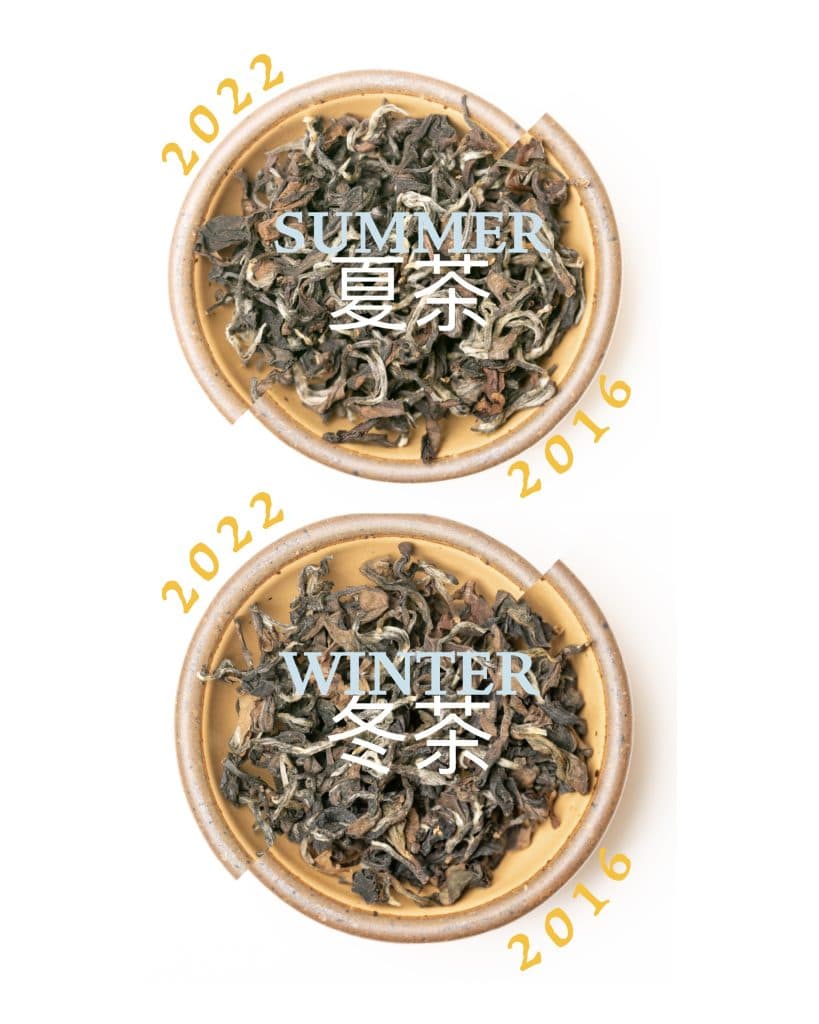 Traditional Hakka Eastern Beauty Oolong