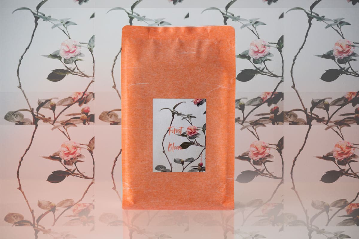 Forest Bloom 2006 Liu Bao Heicha