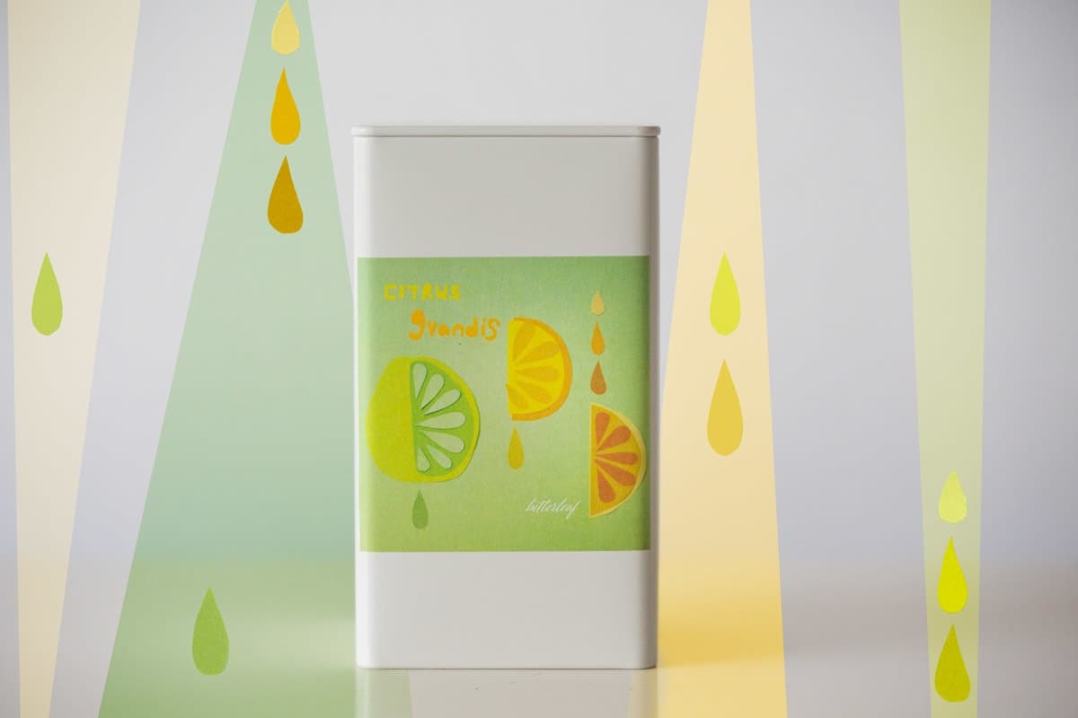 Citrus Grandis 2024 Spring Youhua Xiang Dancong Oolong