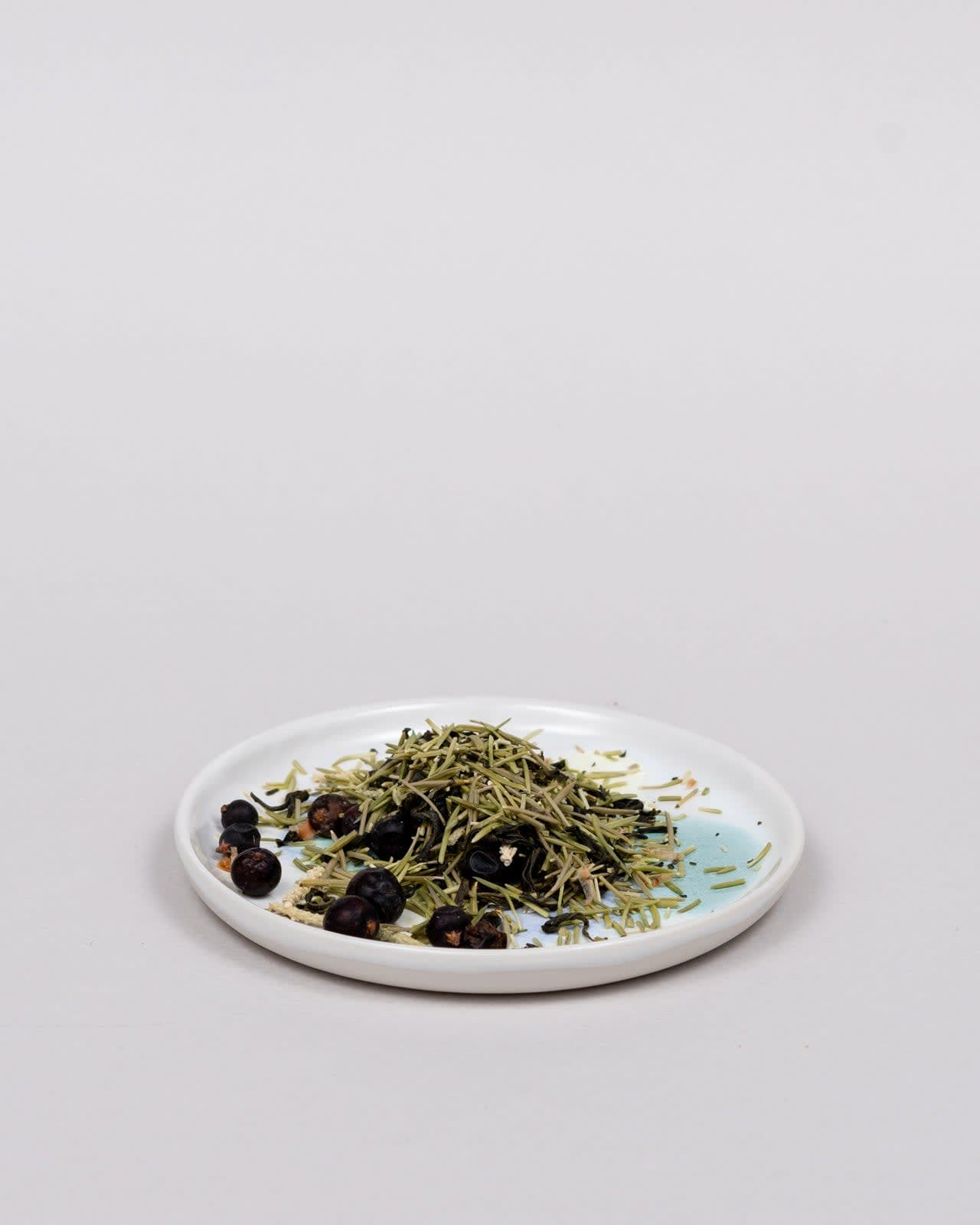 Spring in the forest