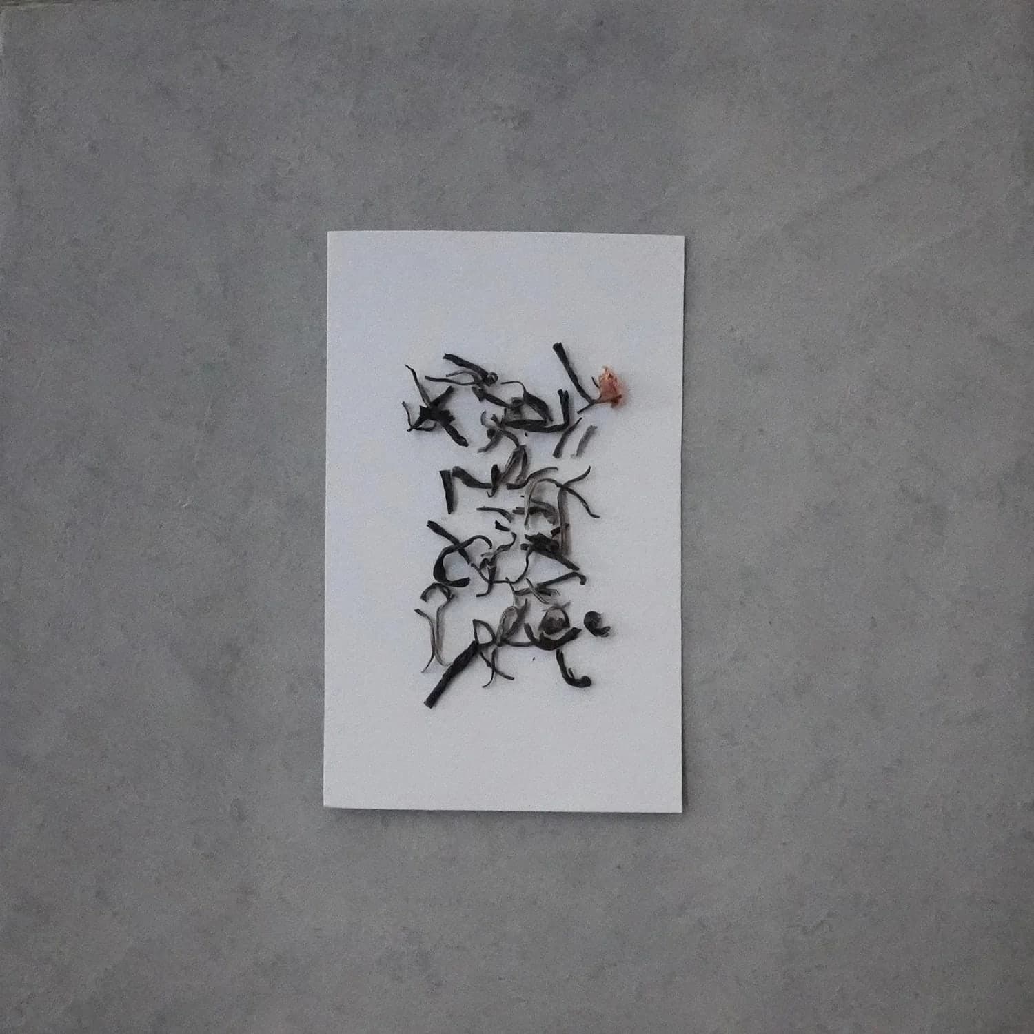 Fuzhou Jasmine Green Tea