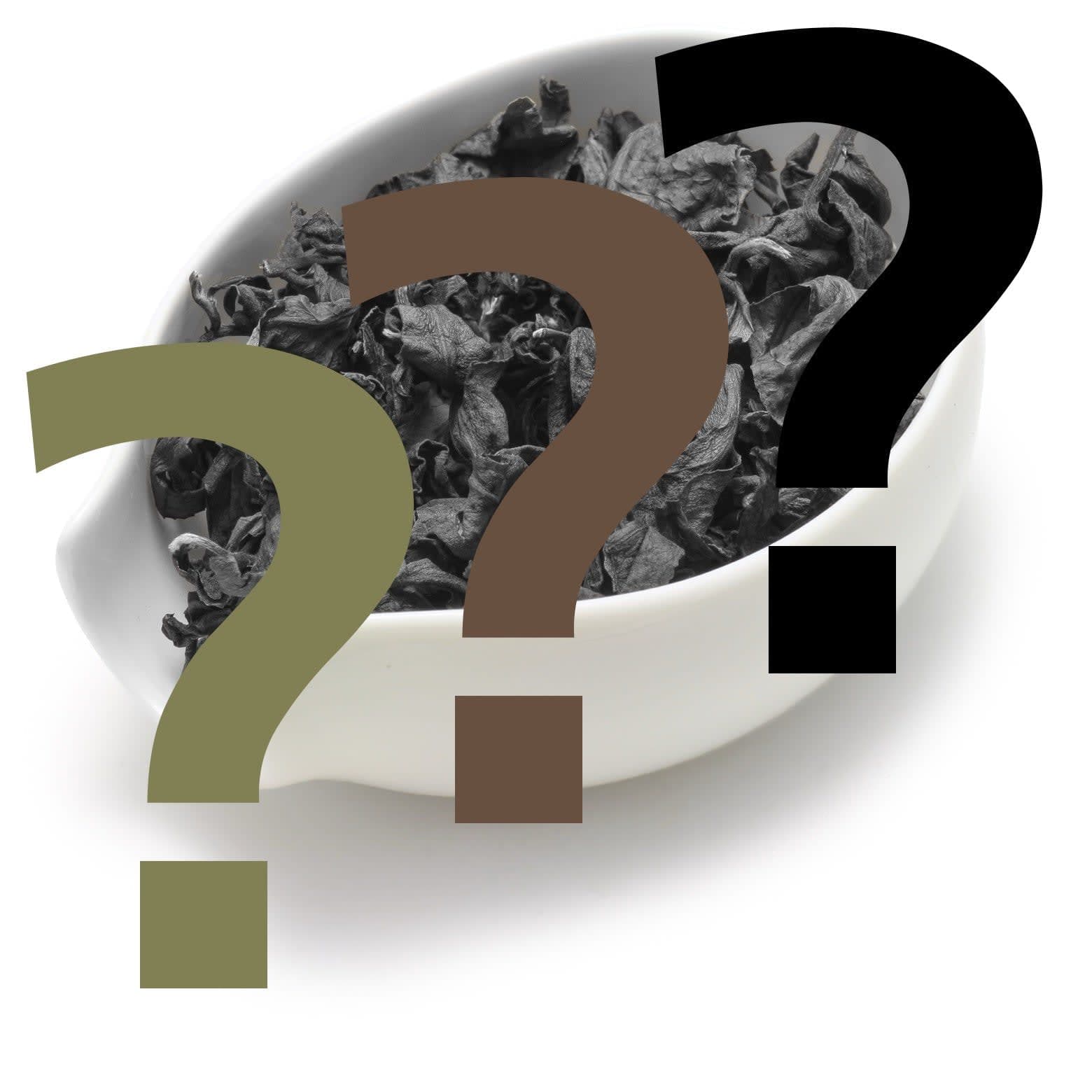 Three moods. One journey.