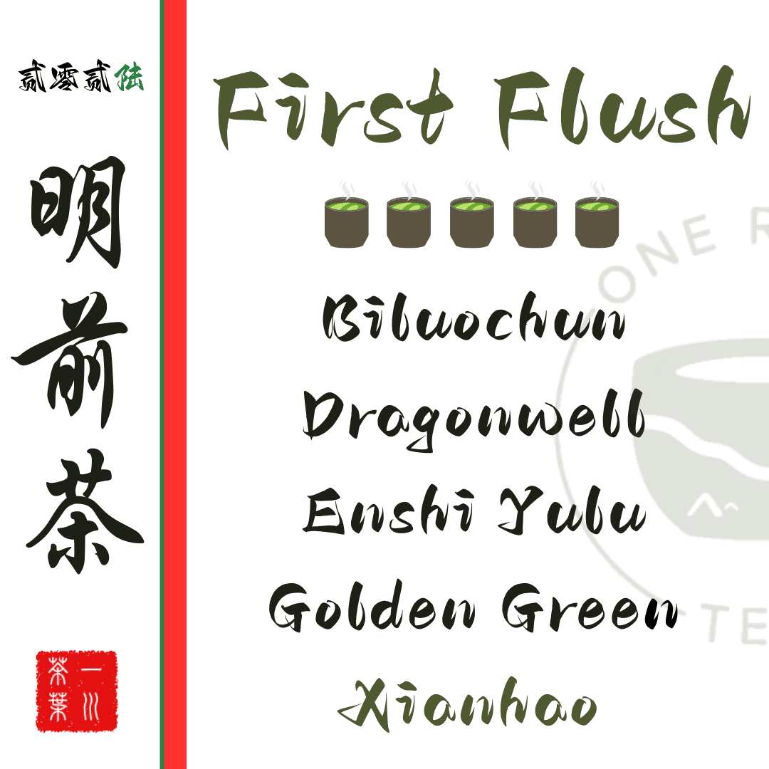 First Pick: Green Tea Collection