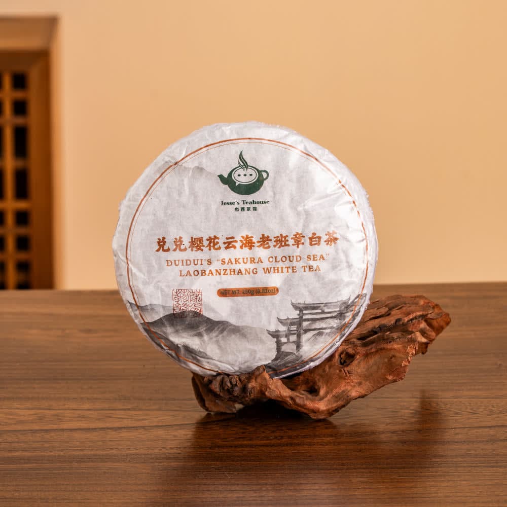 Duidui's Laobanzhang "Sakura Sea" Ancient Tree White Tea