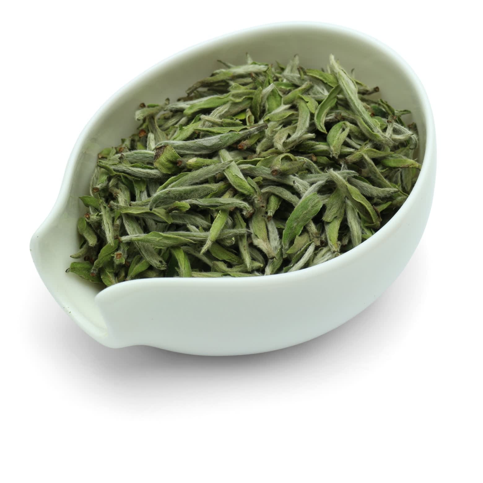 Bai Hao Yin Zhen 2023