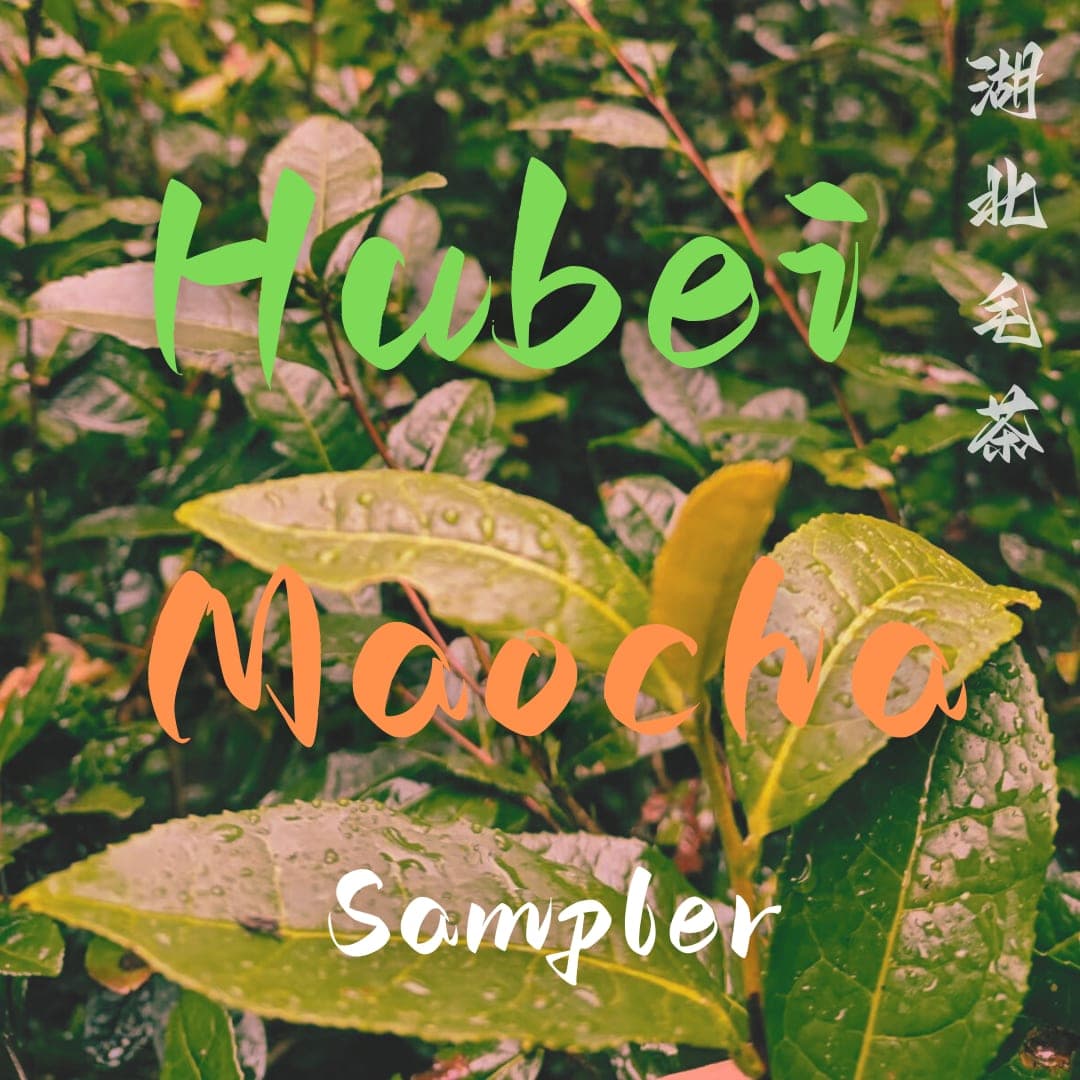 Hubei Maocha Sampler