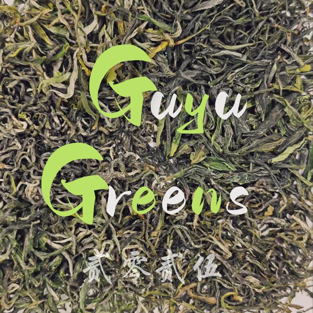 gg 2025: Guyu Green Sampler