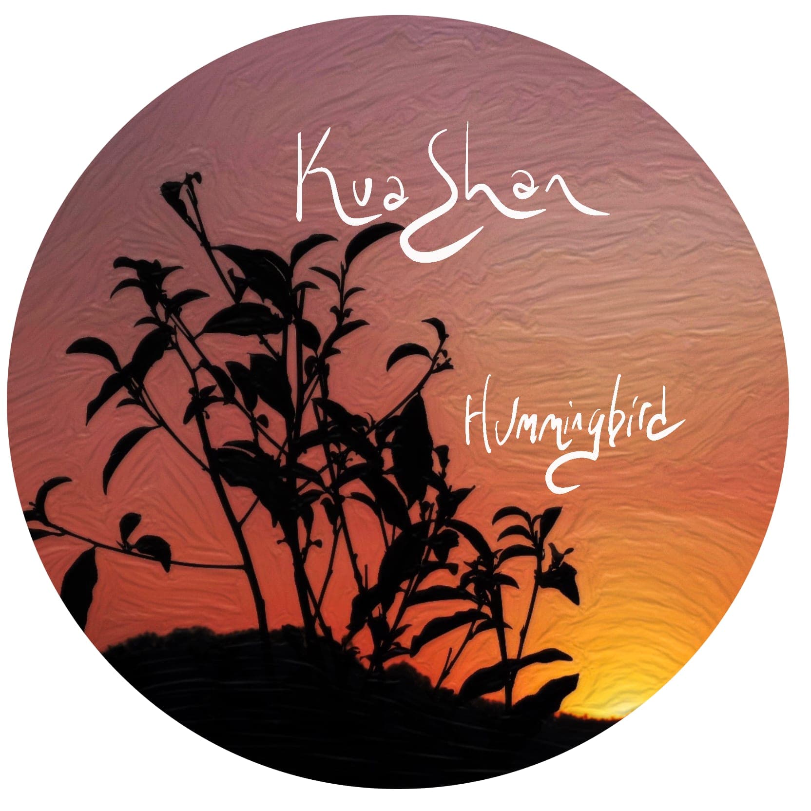 Hummingbird 2023 Kuashan