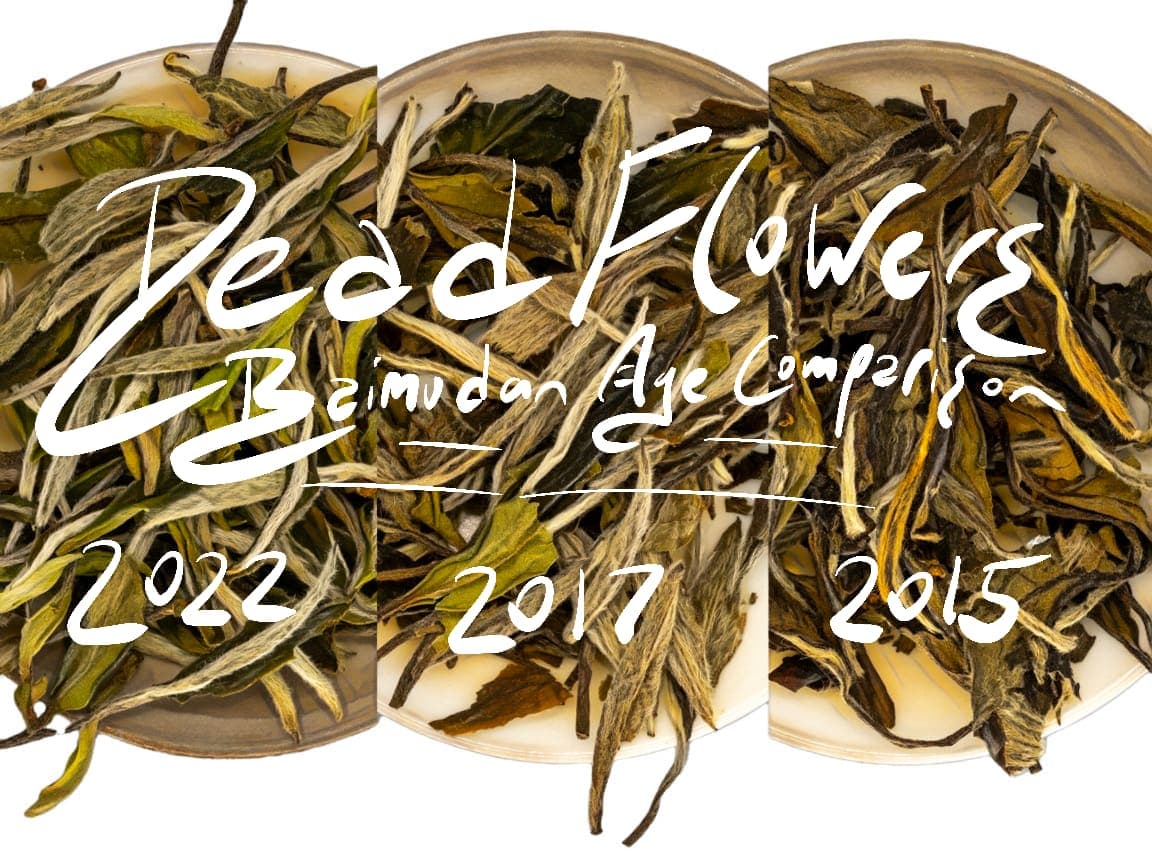 Dead Flowers: A White Peony Comparison Box