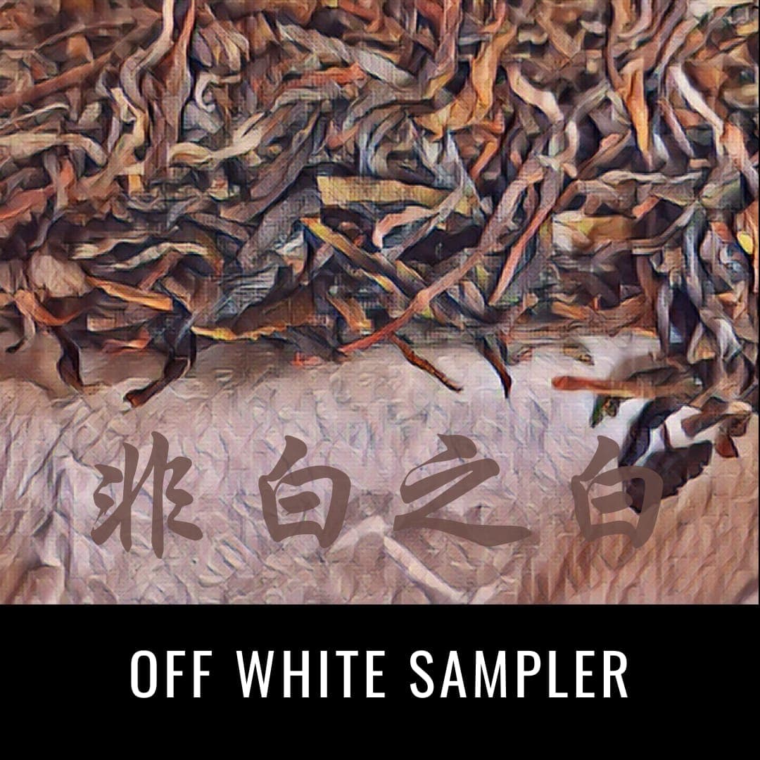 Off White Sampler 2024