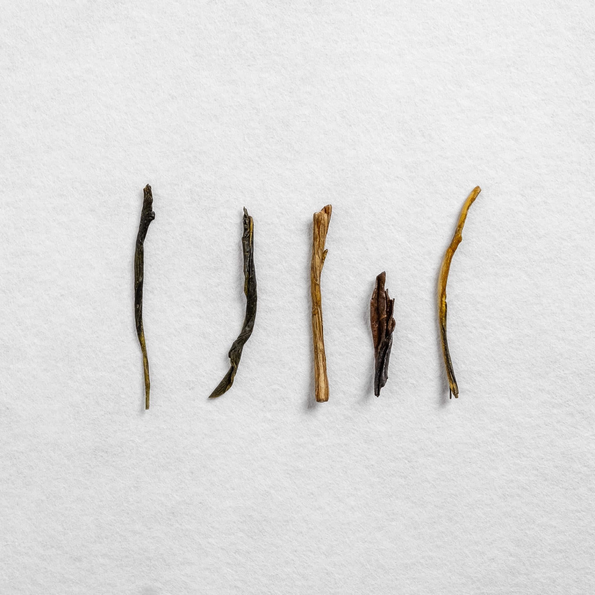 House Roasted Ryogochi Kurasawa