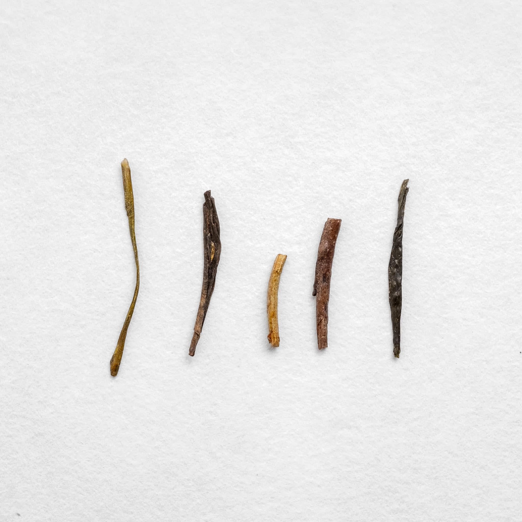 House Roasted Tanegashima Houjicha