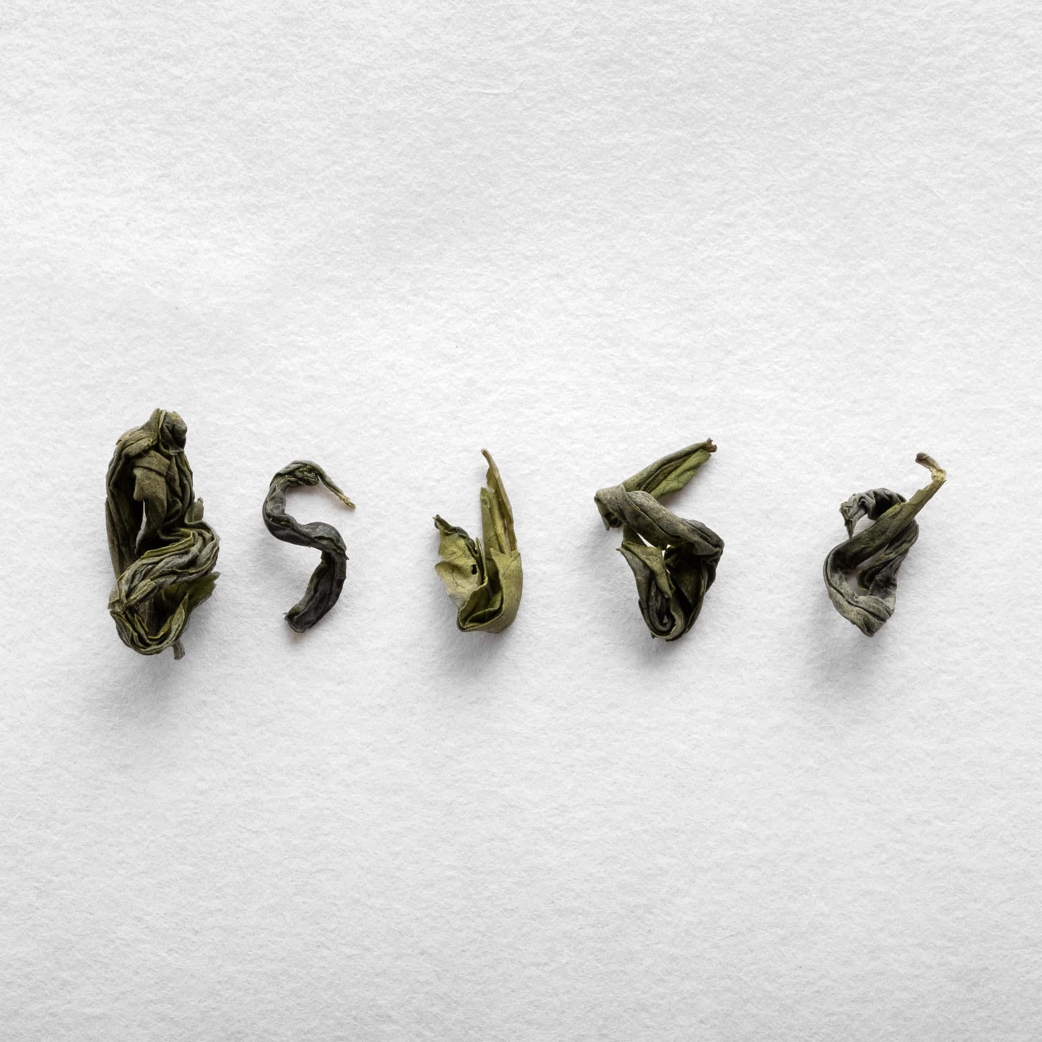 Limited Edition Miyazaki Kamairicha