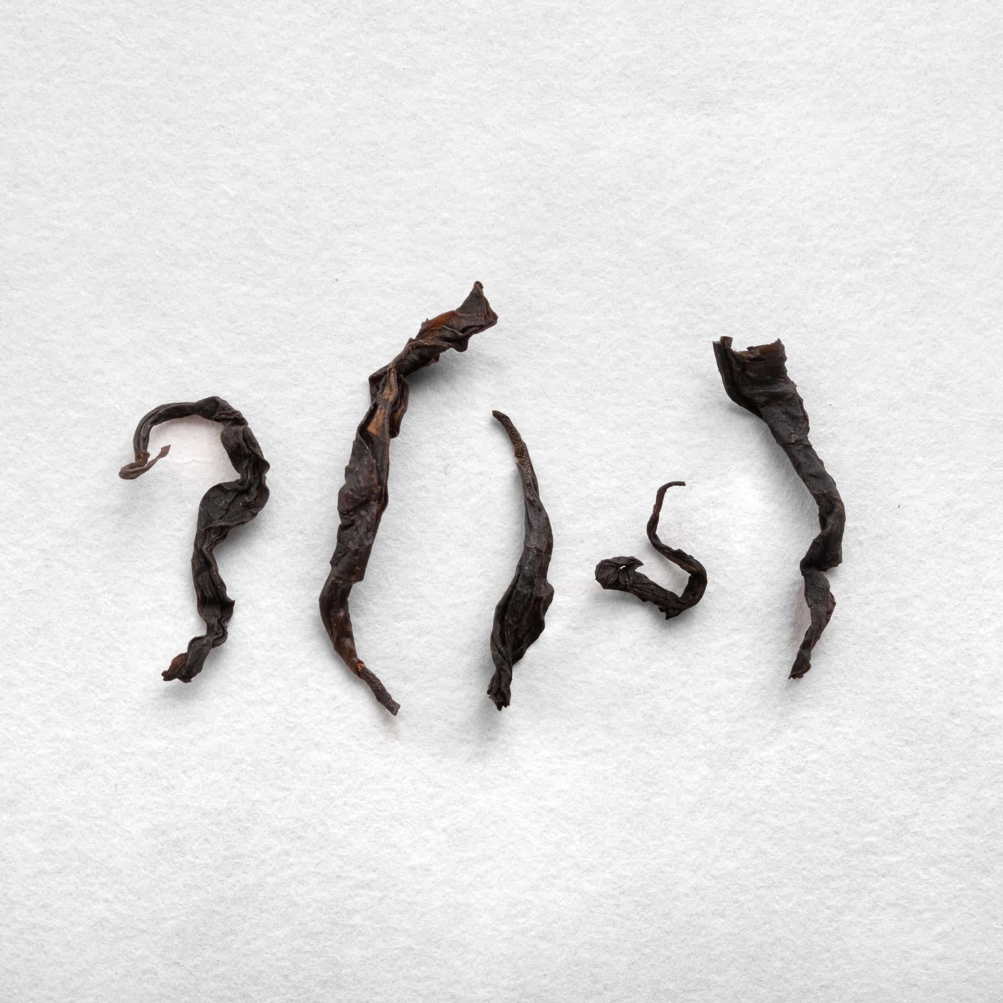 Sayama Yumewakaba Wakoucha