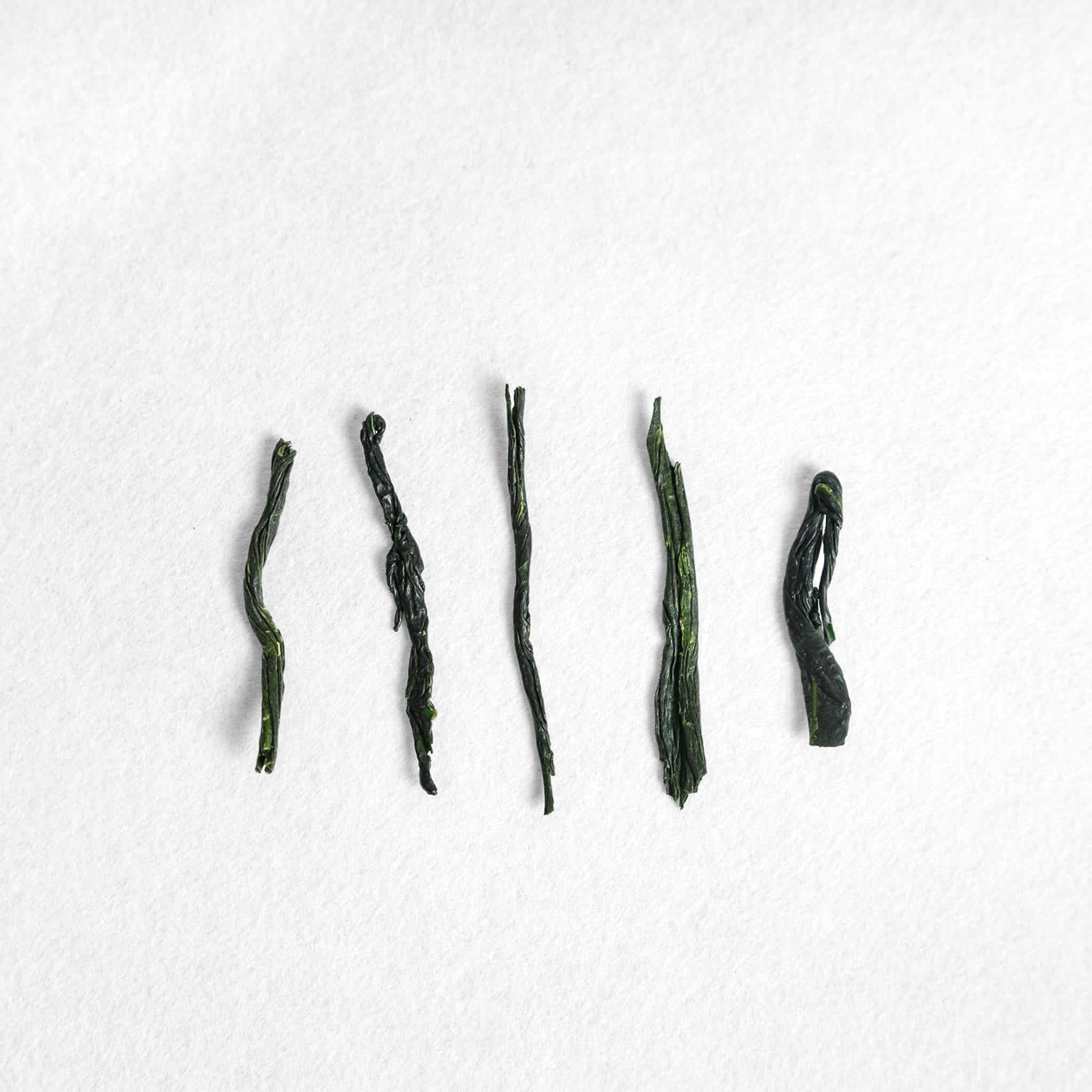 Shinki Yamashita Kyomidori Gyokuro