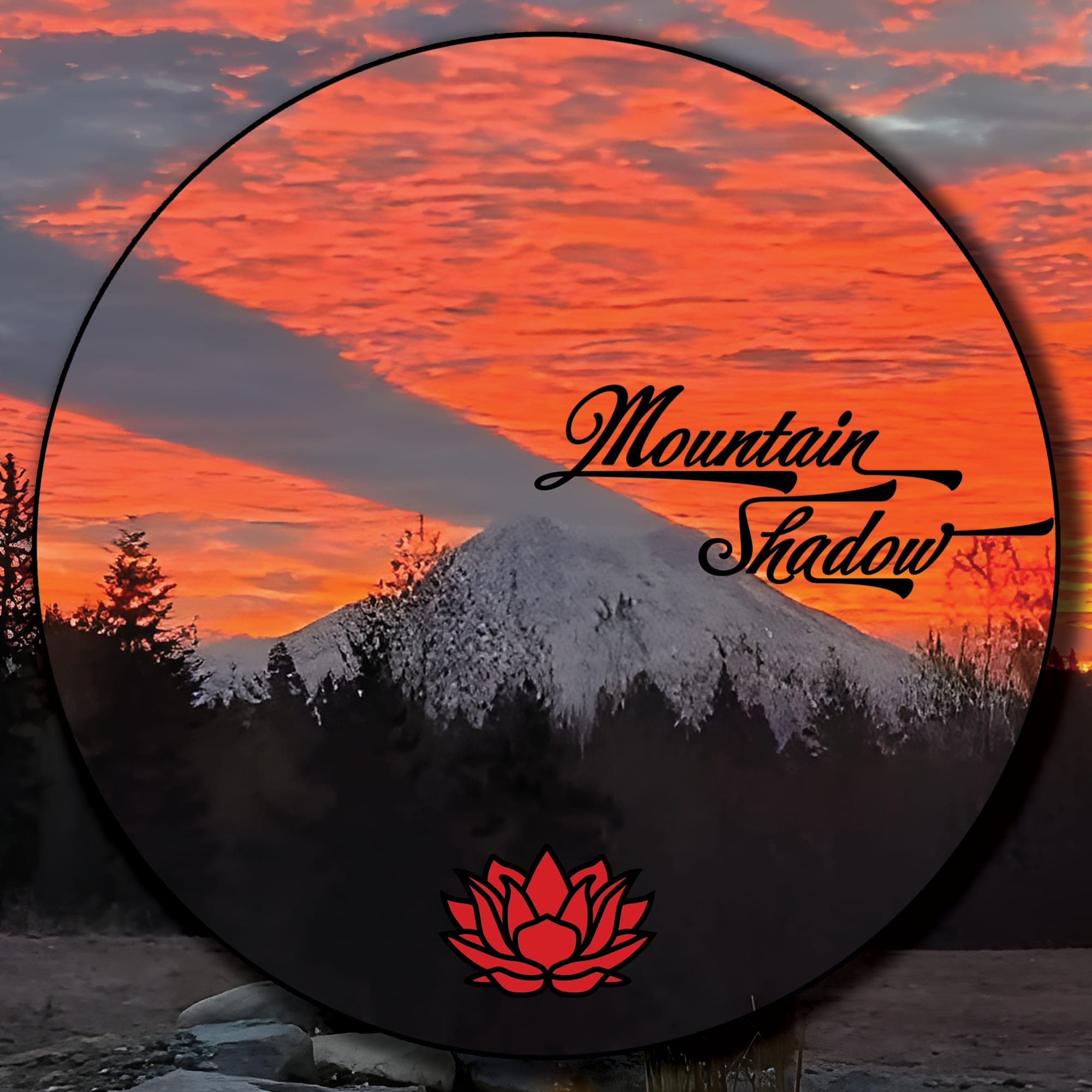 2025 "Mountain Shadow" Shou / Ripe Puerh Tea - 200g Cake :: Seattle Inventory