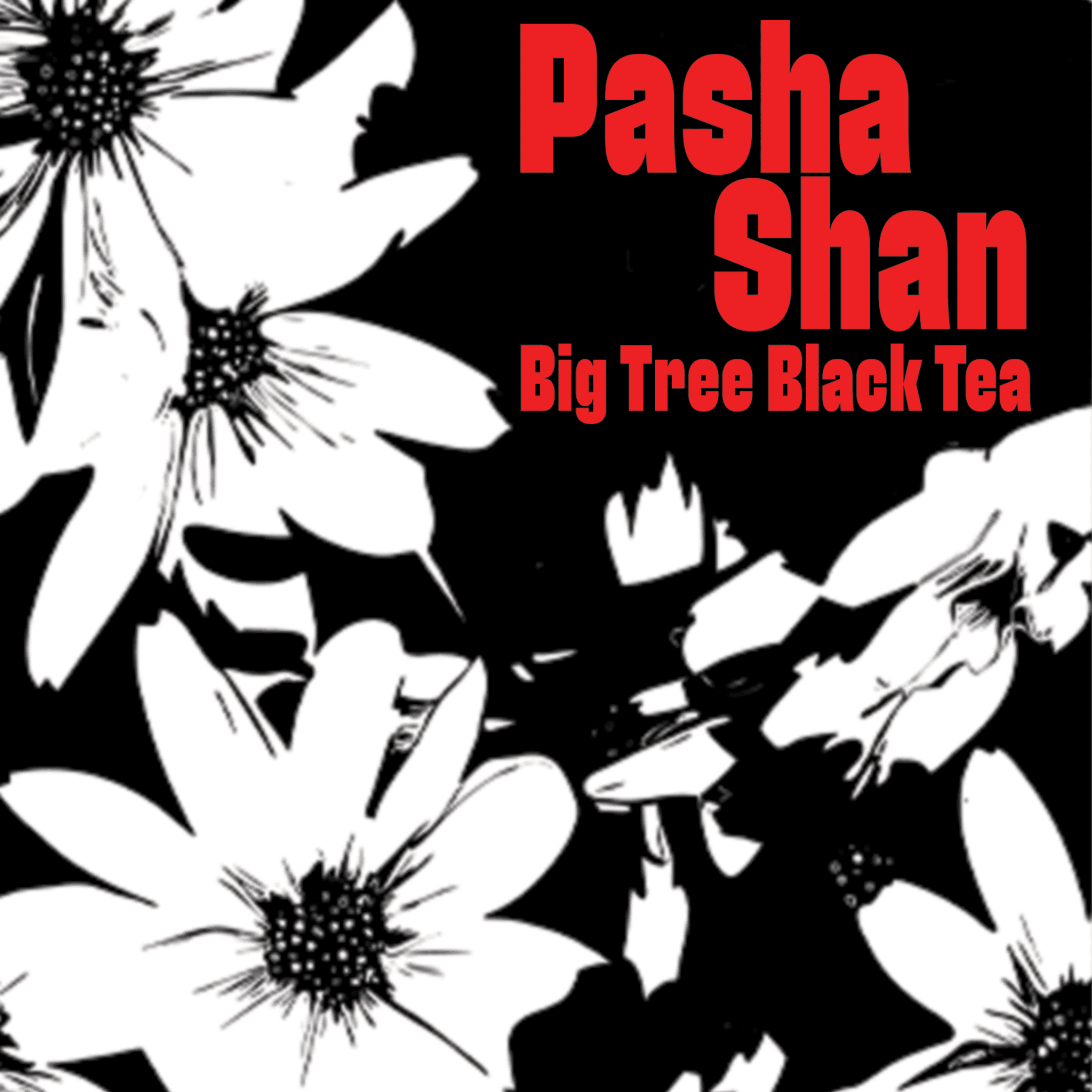 2025 Pasha Shan Hong Cha / Black Tea - 200g Cake