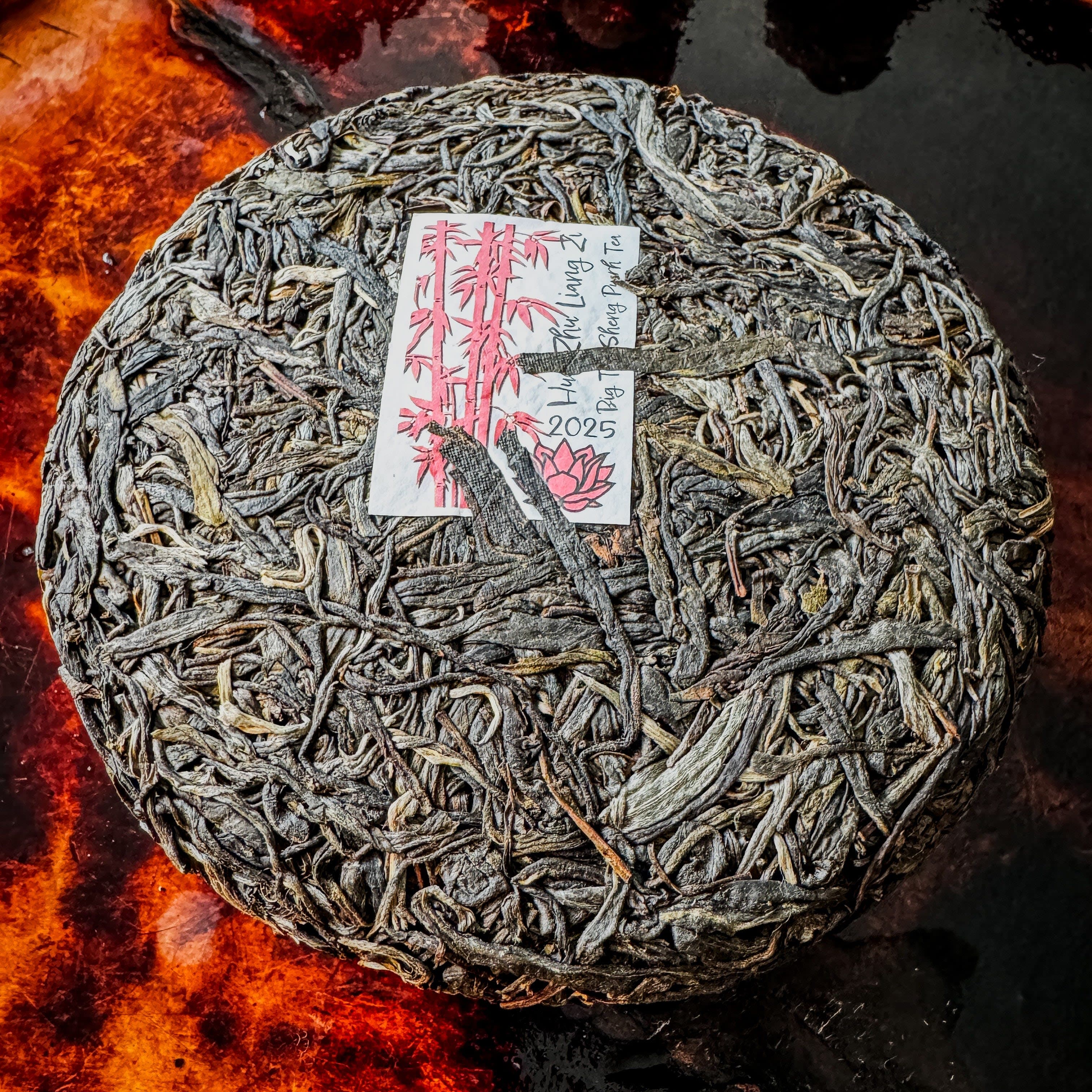 2025 Spring Hua Zhu Liang Zi Sheng / Raw Puerh Tea - 200g Cake :: Seattle Inventory