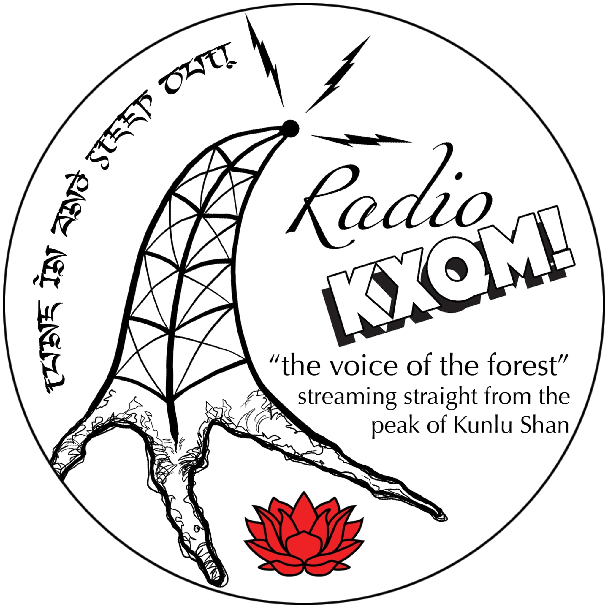 2019 Spring "Radio KXQM" 100g Cake - Sheng / Raw Puerh Tea :: Seattle Inventory