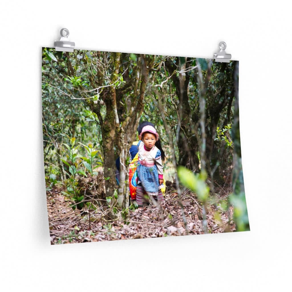 Girl from Pasha Shan - Poster