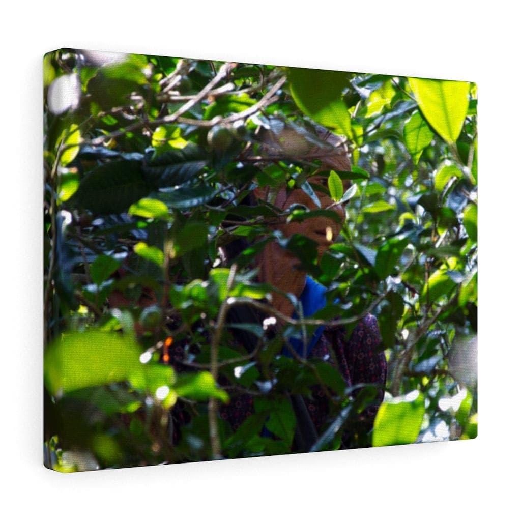 Woman from Manzhuan - Canvas Print