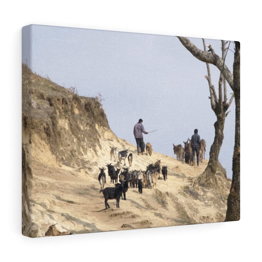 Goat Herding with the Yi - Canvas Print