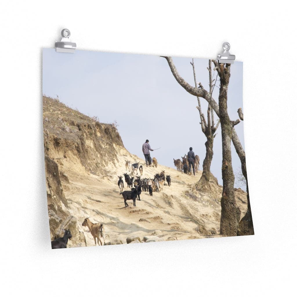 Goat Herding with the Yi - Poster