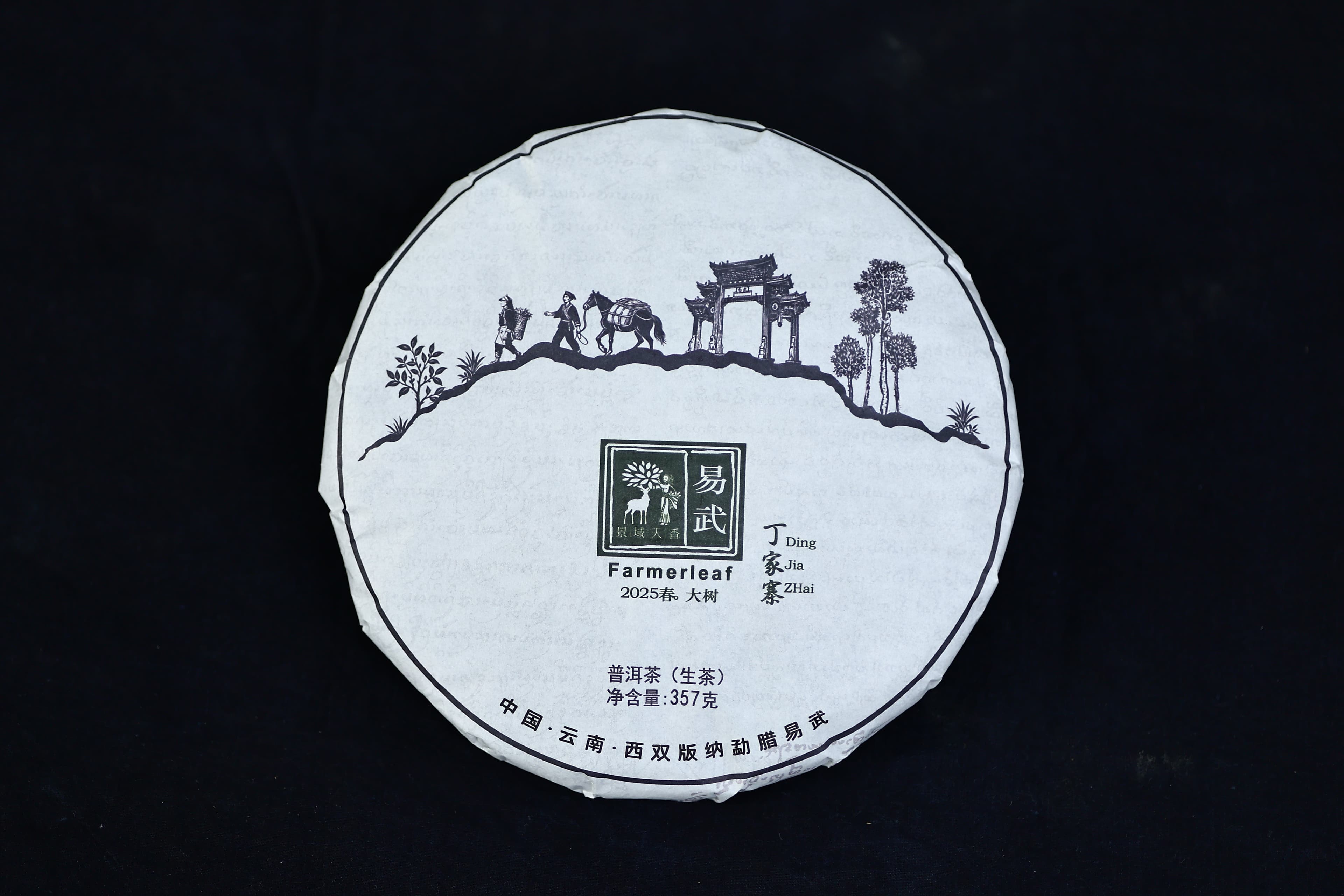 Spring 2025 Ding Jia Zhai