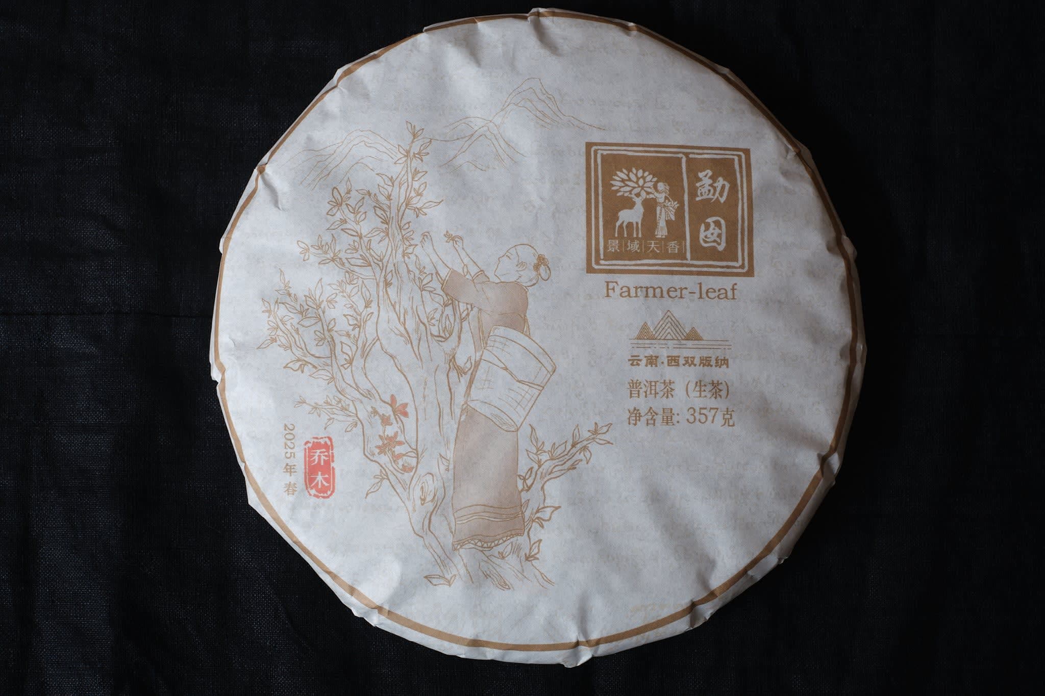 Spring 2025 Meng Noy