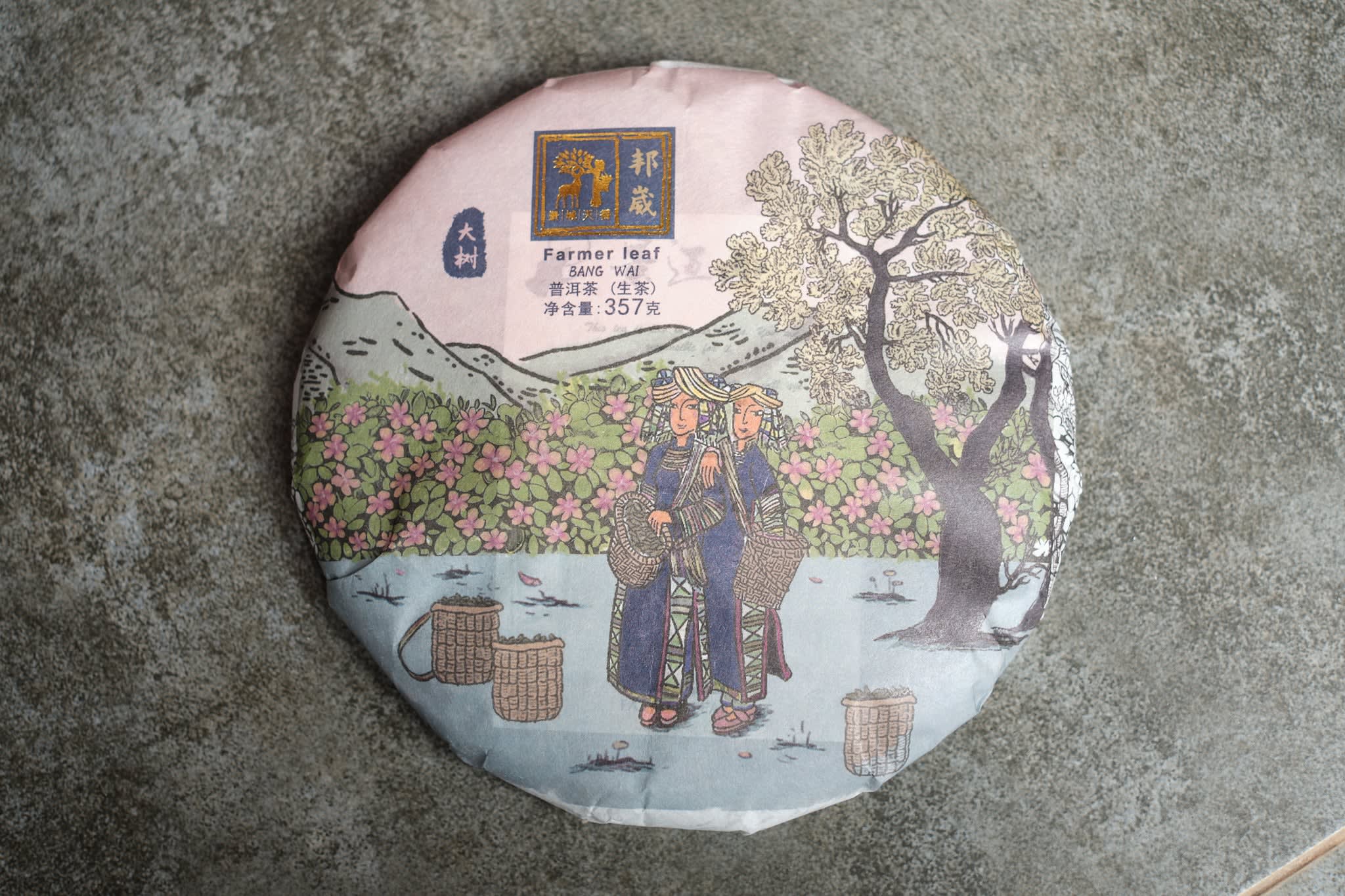 Spring 2024 Bangwai big trees