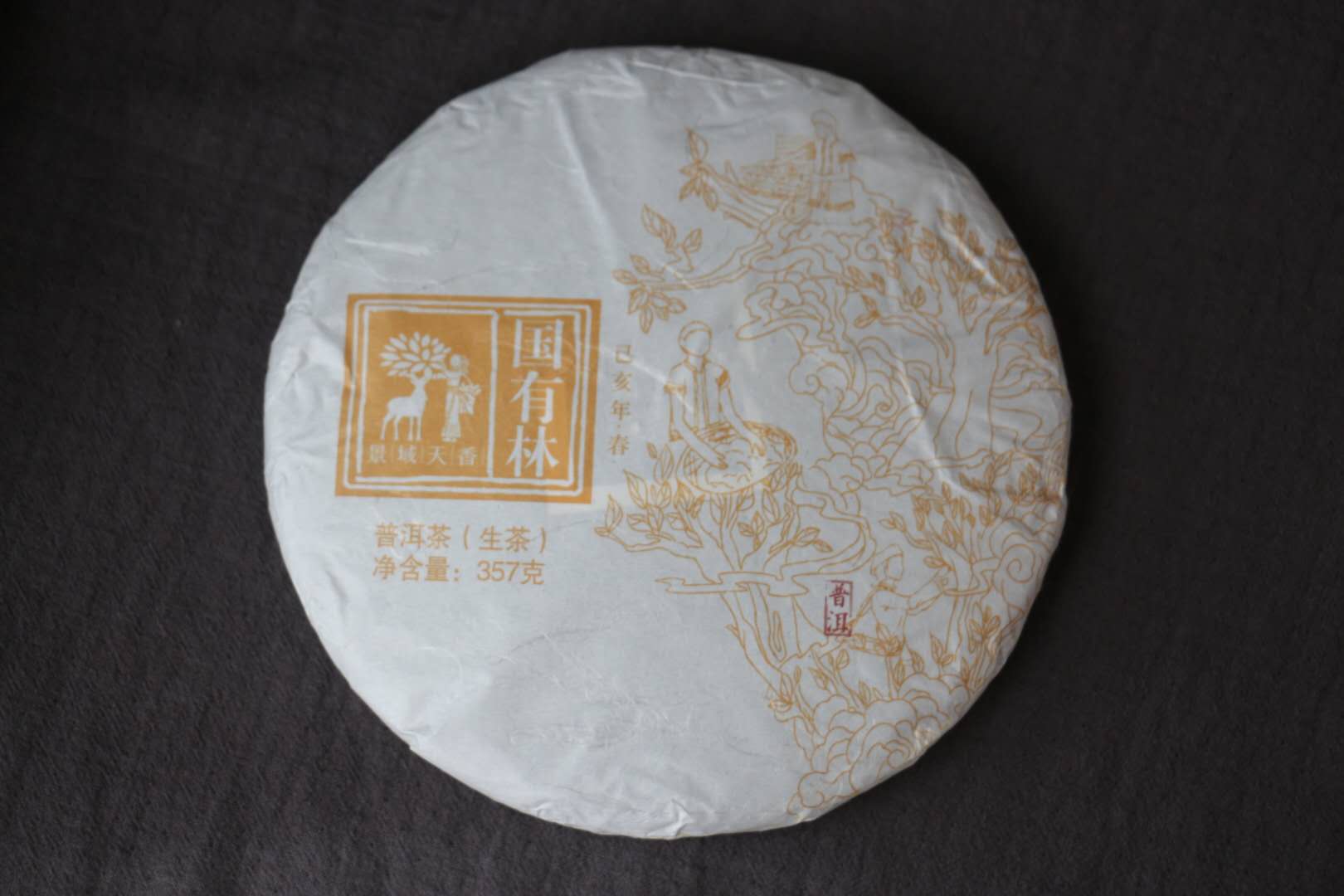 Spring 2019 Yiwu National Forest