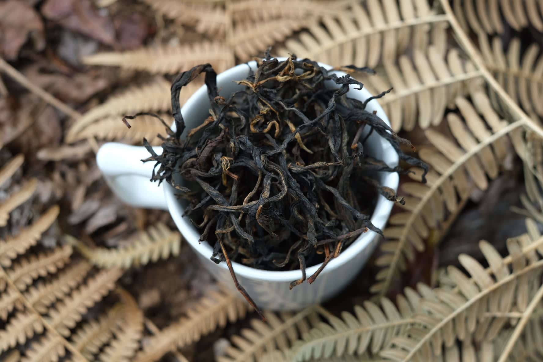 Spring 2026 Jingmai Gushu Sun-dried Black