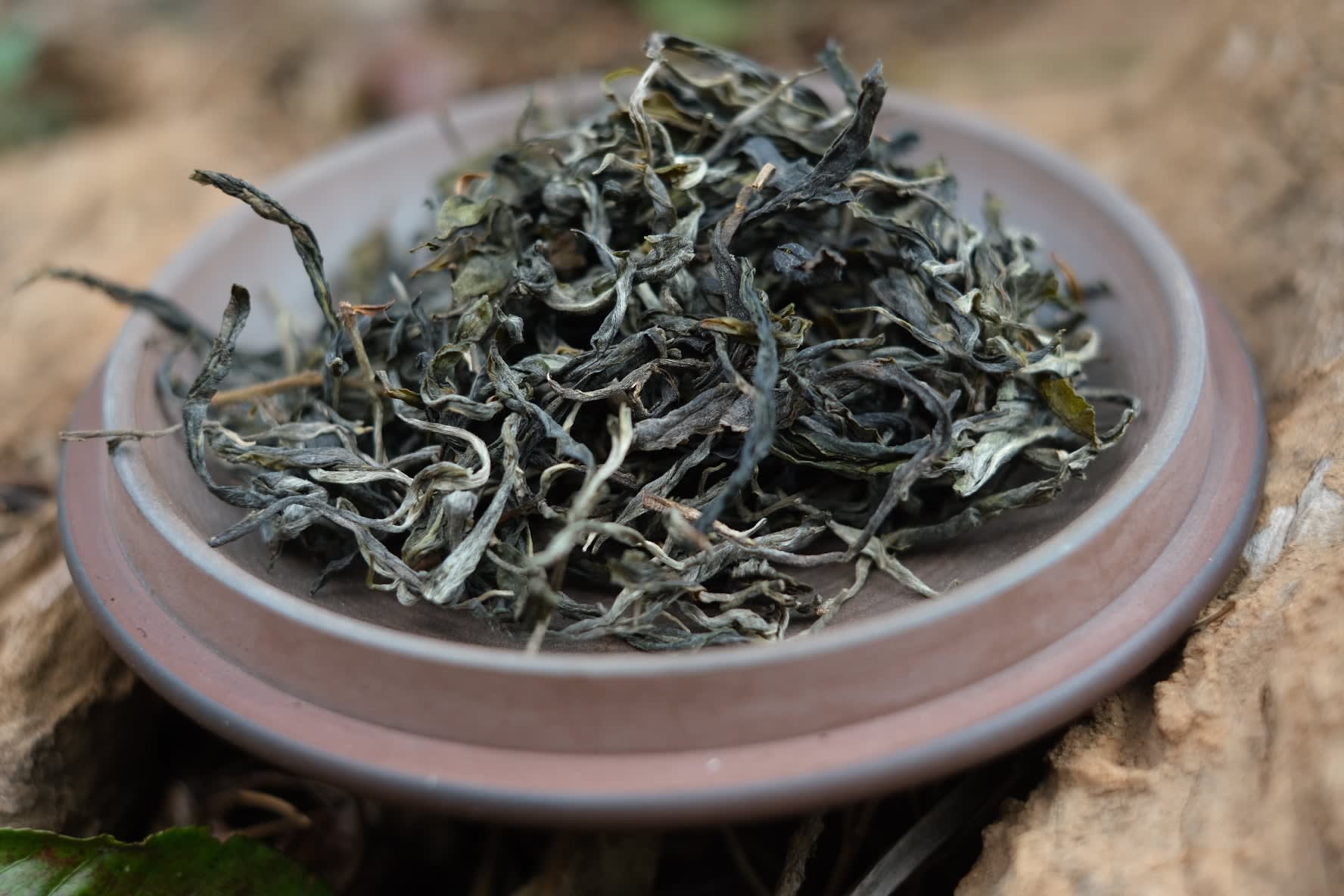 Spring 2026 Jingmai Ai Ban