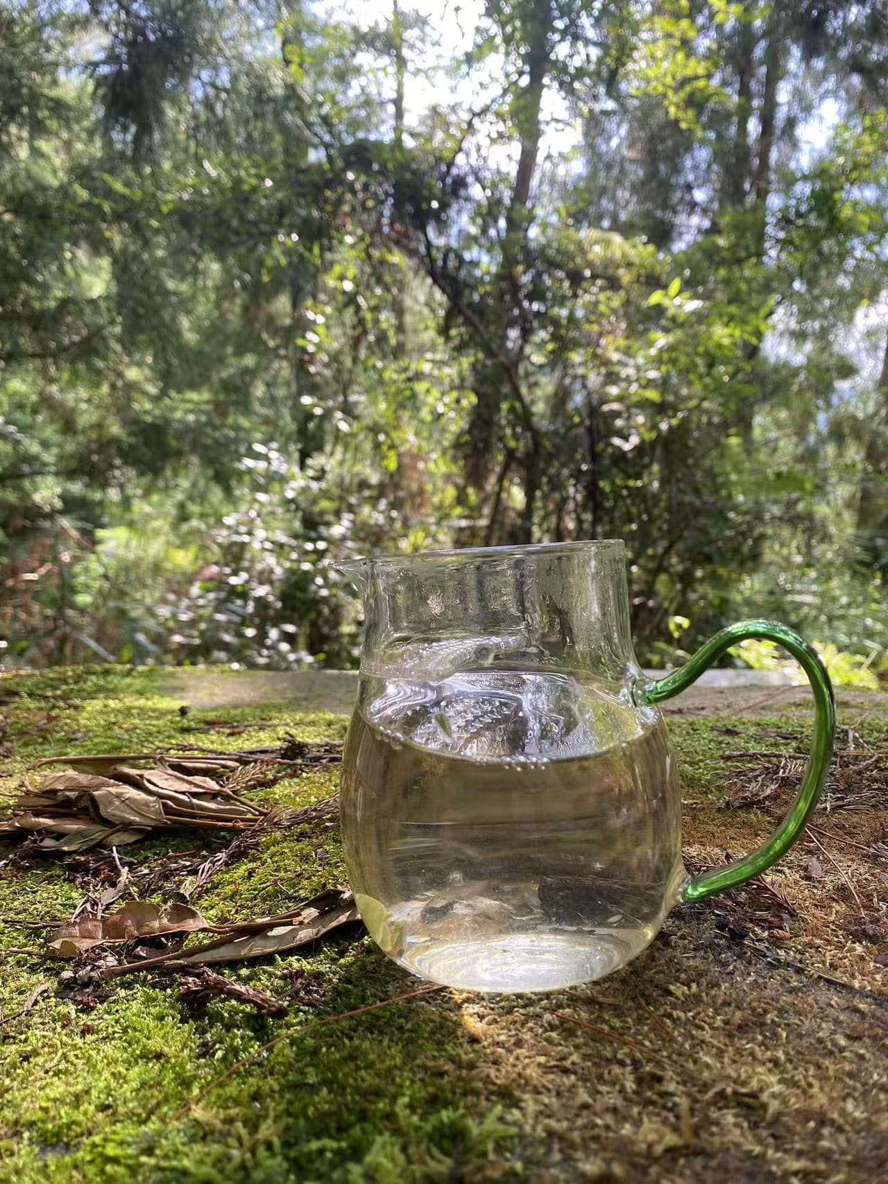 Pre Qing Ming Bai Mu Dan (2025)