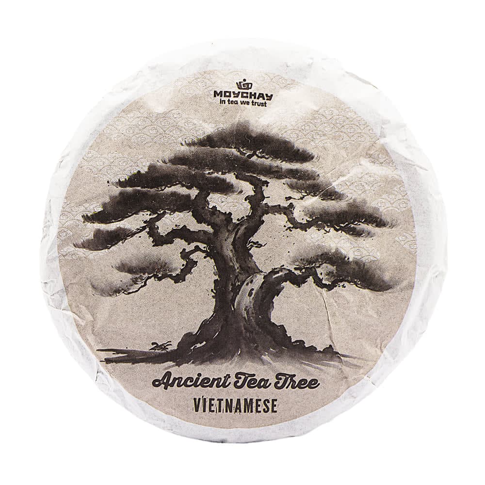 Puerh Sheng de Árbol Antiguo Vietnamita 100g | Té Pu-erh Crudo Silvestre