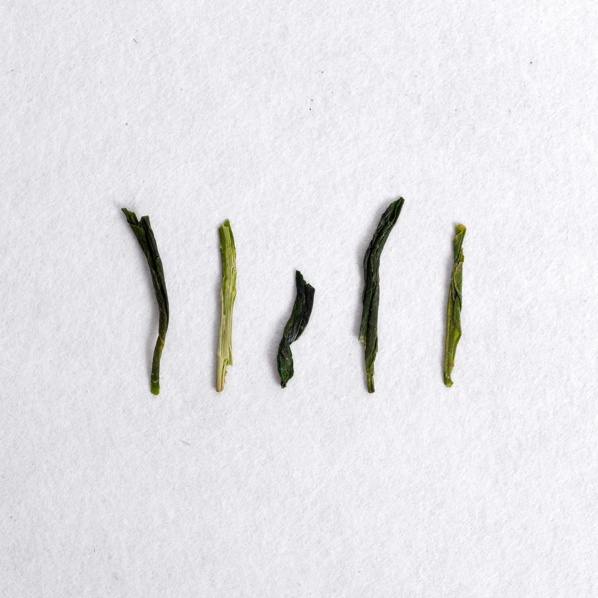 Sayama Yumewakaba Sencha