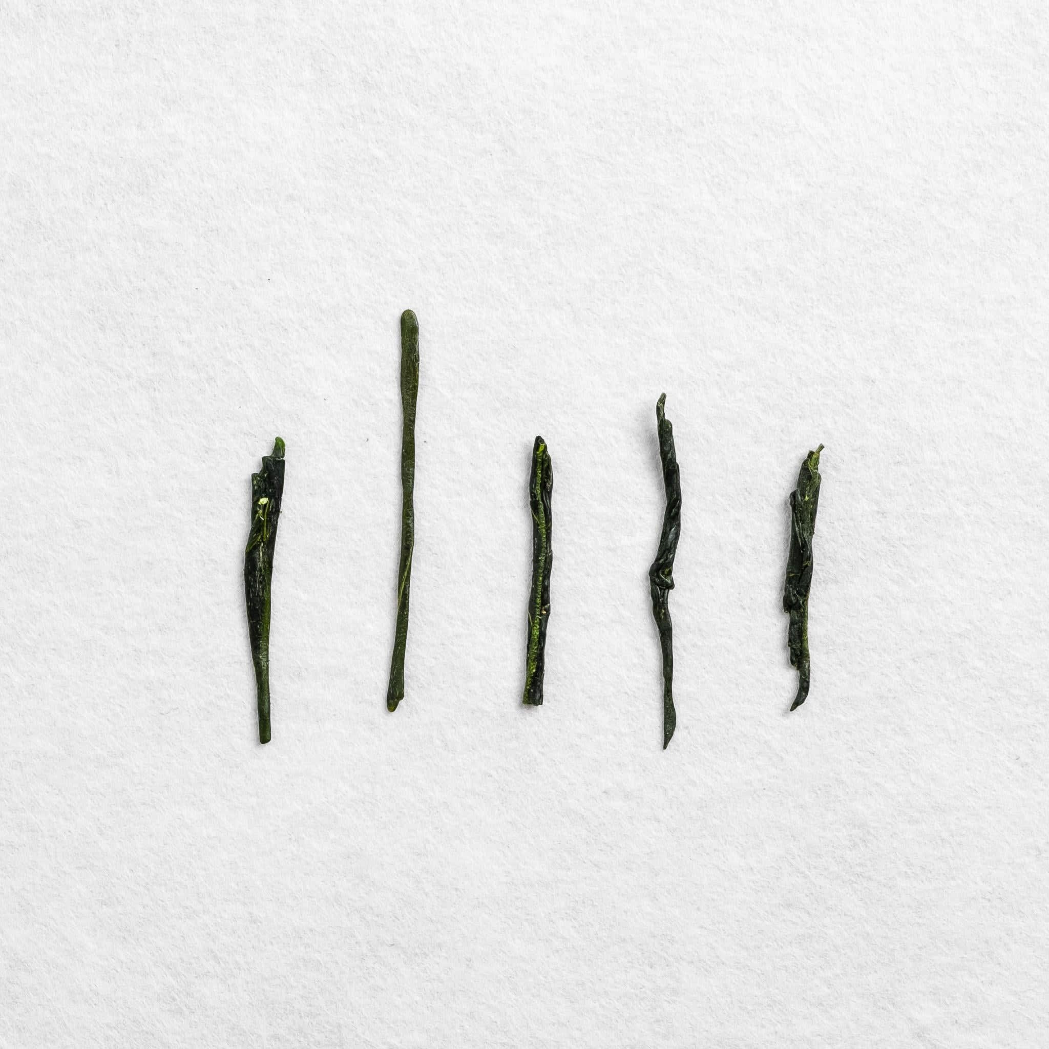 Satsuma Asamushi Sencha