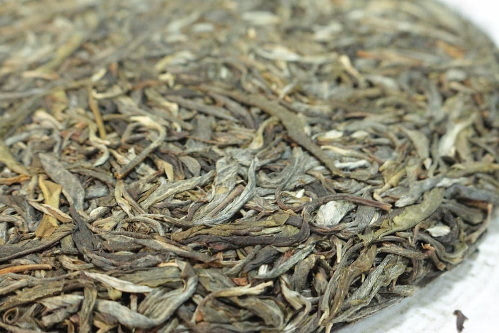 2017 Autumn - Yangjiazhai Gushu