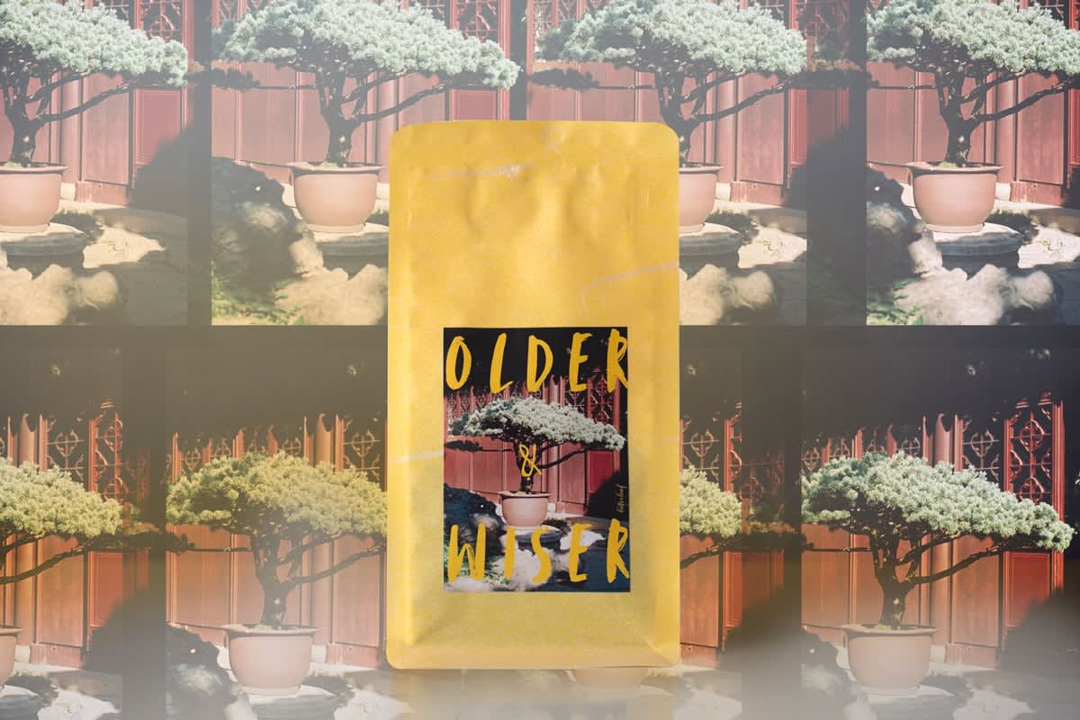 Older & Wiser 80s Liu Bao Heicha | BITTERLEAF TEAS