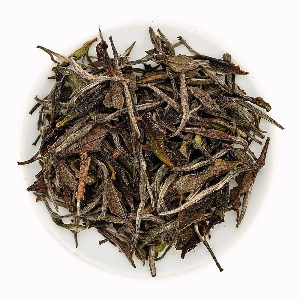 Dayong Mountain Zhangping White Tea