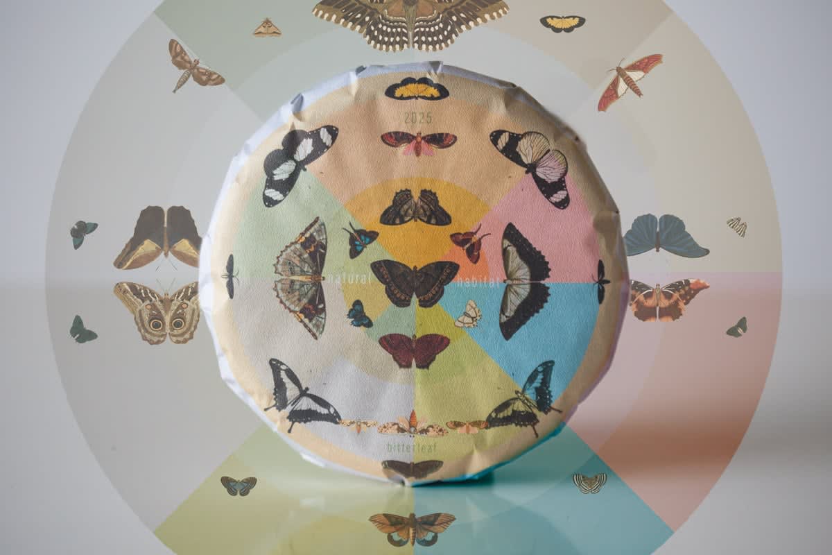 Natural Habitat 2025 Spring Huazhuliangzi Raw Puer | BITTERLEAF TEAS