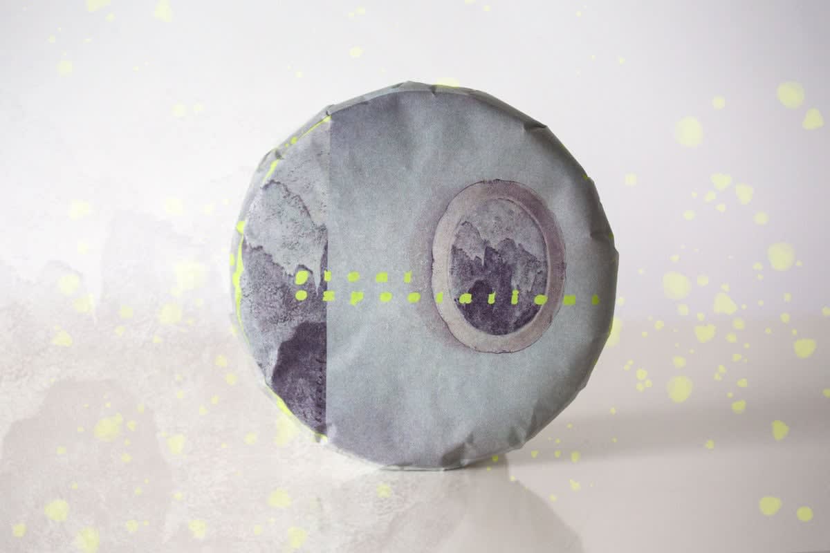 Great Expectations 2022 Pasha Raw Puer | BITTERLEAF TEAS