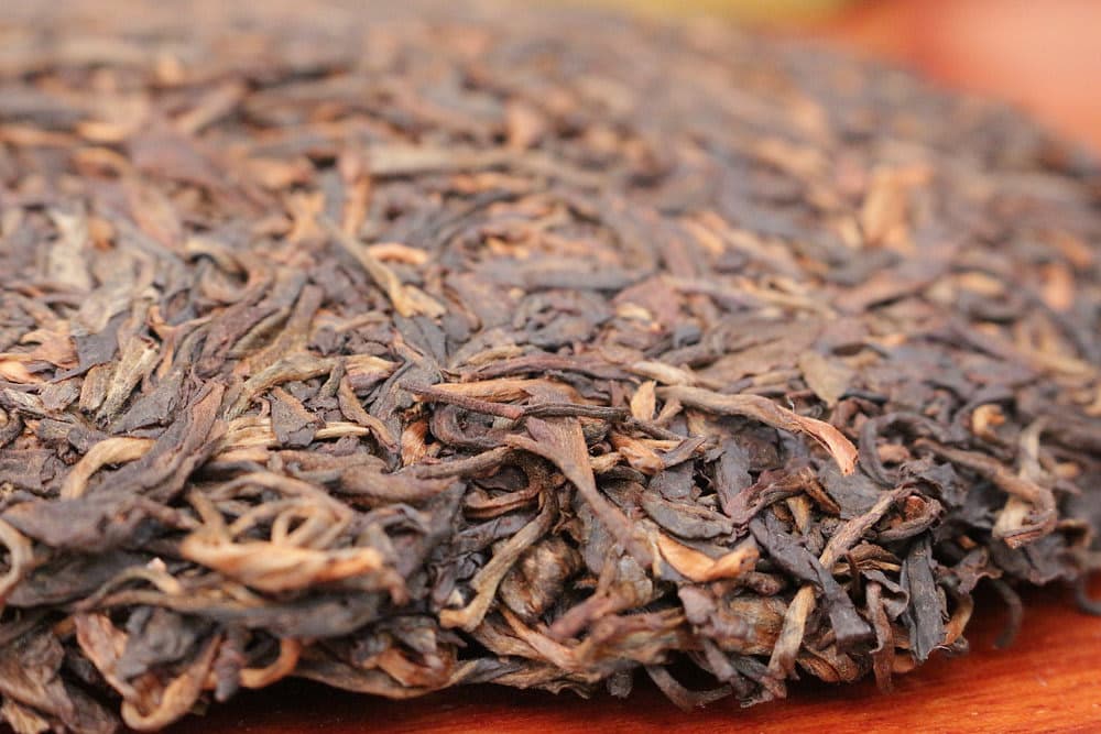 Danggui (当归) - Yiwu Gushu 2009, sample cake tasting session