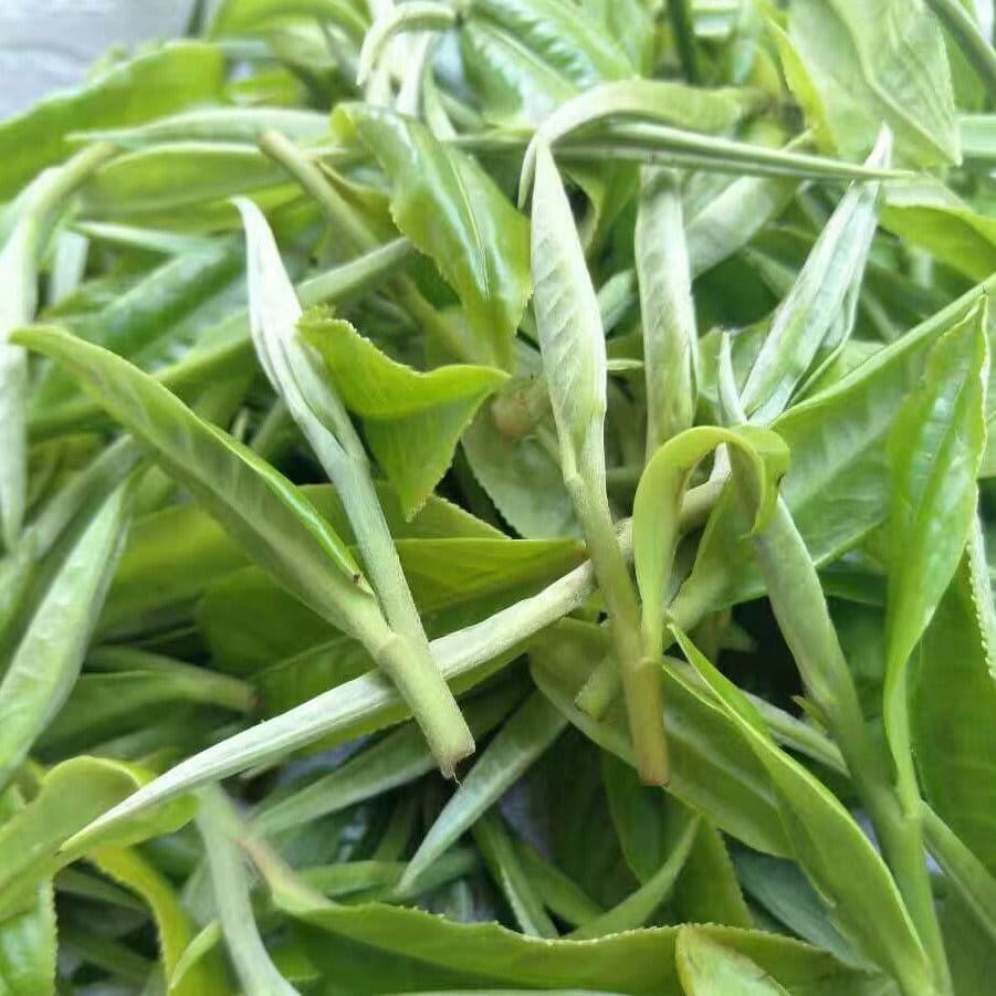 Our Story - 易武高山友益茶坊 Yiwu Mountain Puer Tea