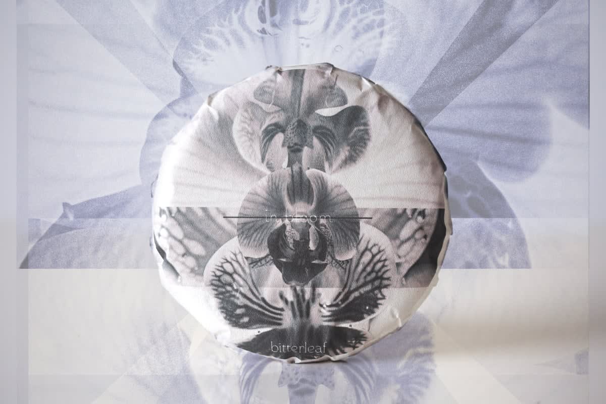 In Bloom 2025 Spring Jing Mai Raw Puer | BITTERLEAF TEAS