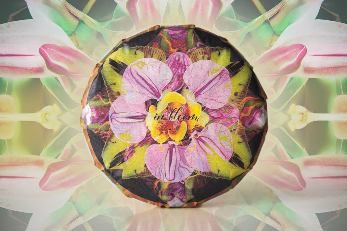 In Bloom 2024 Jingmai Raw Puer | BITTERLEAF TEAS