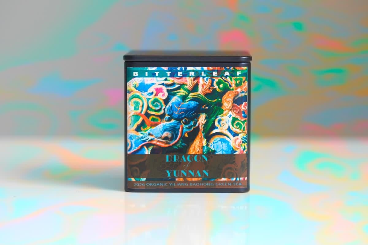 Dragon Of Yunnan 2026 Spring Yiliang Baohong Organic Green Tea | BITTERLEAF TEAS