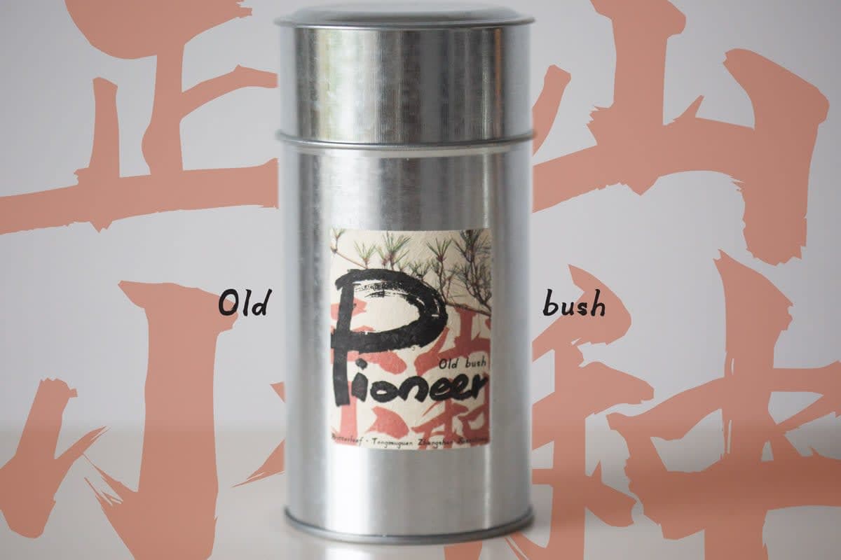 Pioneer Old Bush 2024 Spring Tongmuguan Zhengshan Xiaozhong Smoked Black Tea | BITTERLEAF TEAS