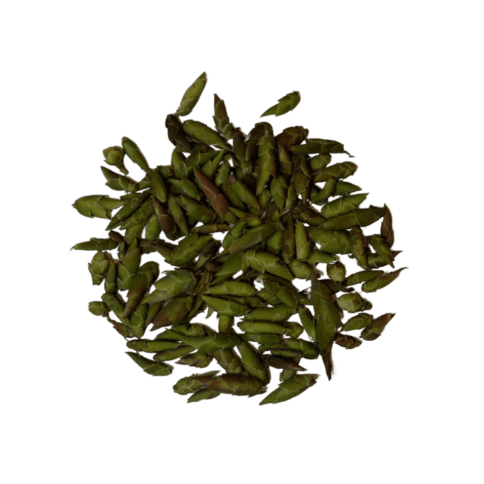 Dragon Claw Weißer Tee: Wilde Knospen, Blumige & Fruchtige Noten